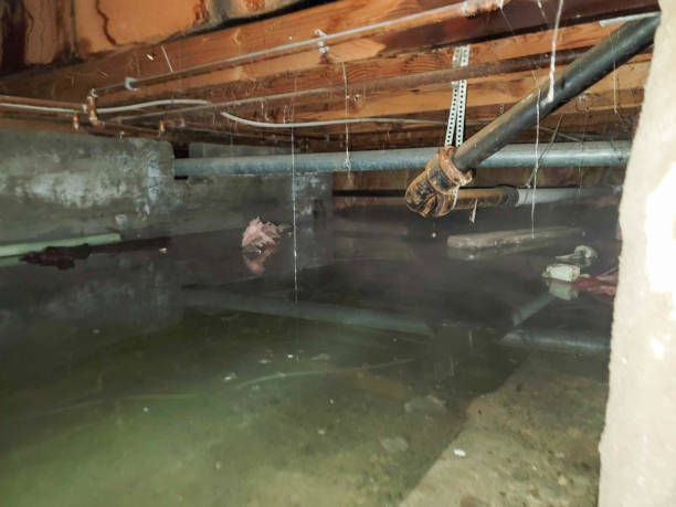Best Fire Damage Restoration  in Monfort Heights, OH