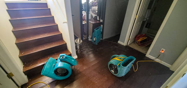 Water damage restoration mold remediation in Monfort Heights, OH