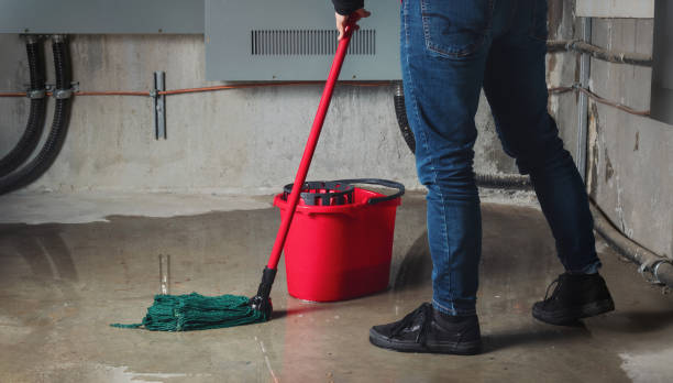 Best Fire Damage Restoration  in Monfort Heights, OH