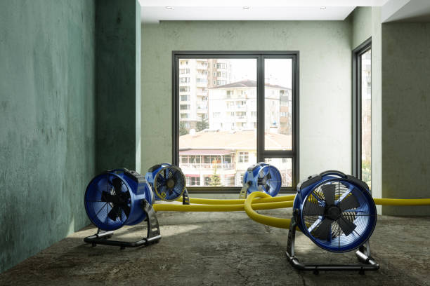 Best 24-hour water damage restoration  in Monfort Heights, OH